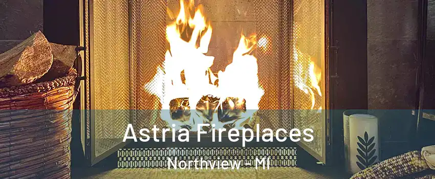  Astria Fireplaces Northview - MI
