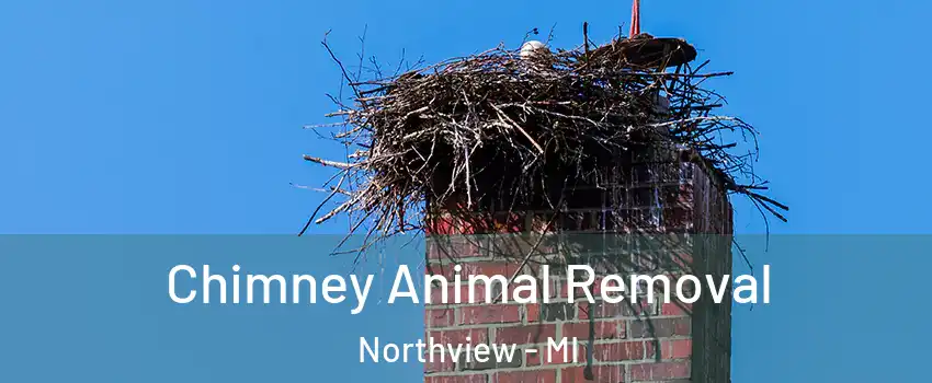  Chimney Animal Removal Northview - MI