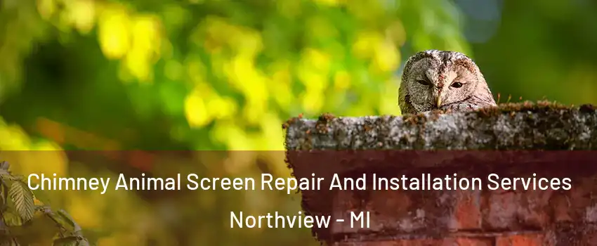  Chimney Animal Screen Repair And Installation Services Northview - MI