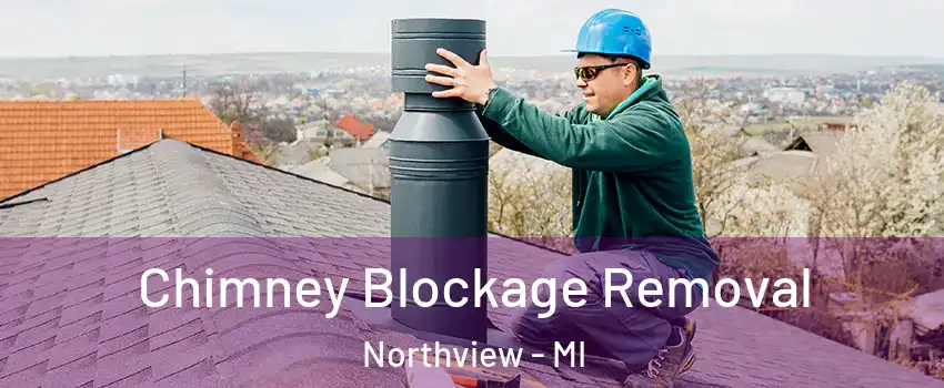  Chimney Blockage Removal Northview - MI