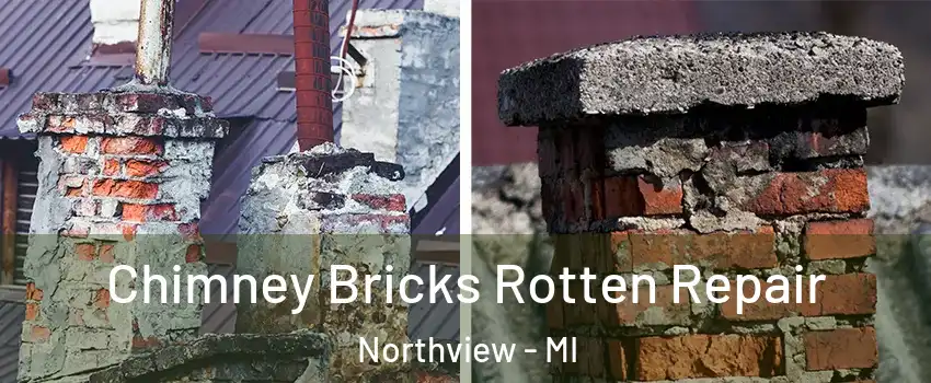  Chimney Bricks Rotten Repair Northview - MI
