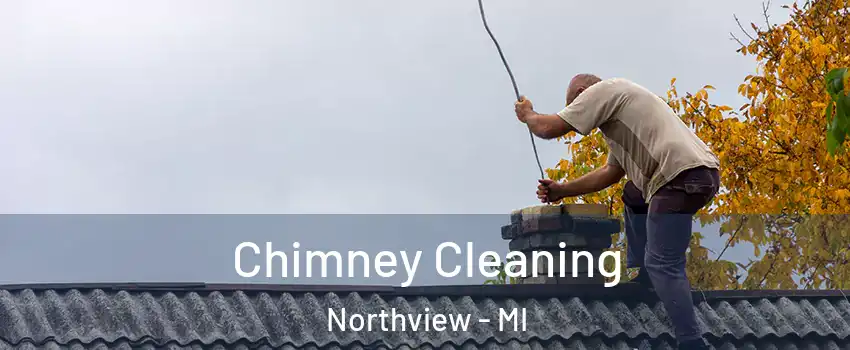  Chimney Cleaning Northview - MI