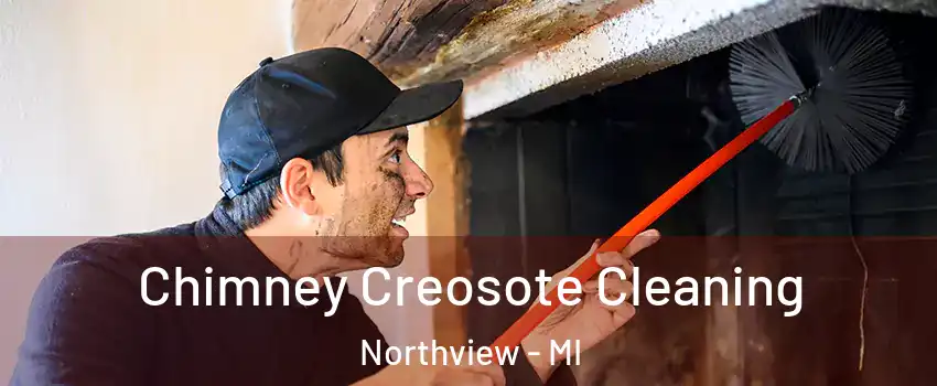  Chimney Creosote Cleaning Northview - MI