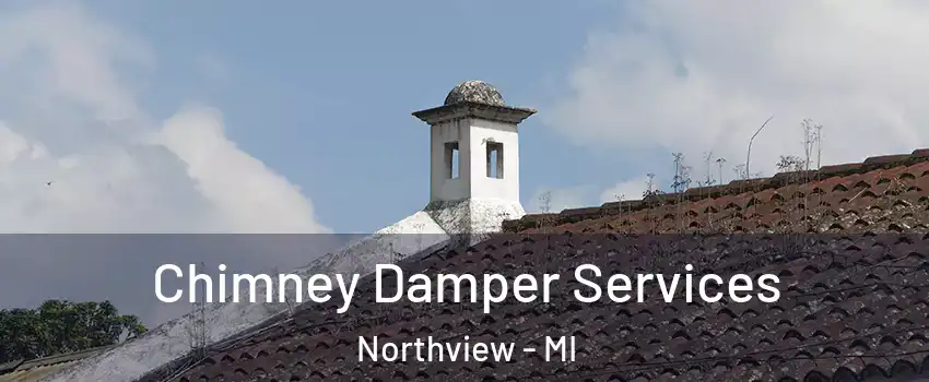  Chimney Damper Services Northview - MI