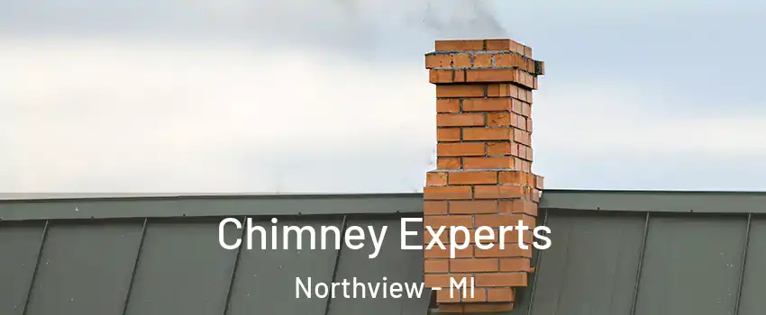  Chimney Experts Northview - MI
