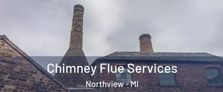  Chimney Flue Services Northview - MI