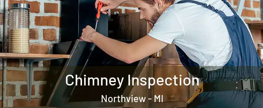  Chimney Inspection Northview - MI