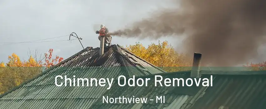  Chimney Odor Removal Northview - MI
