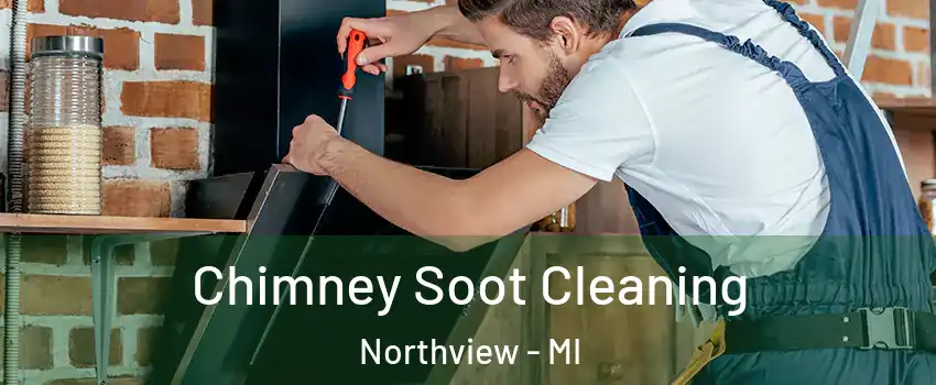  Chimney Soot Cleaning Northview - MI