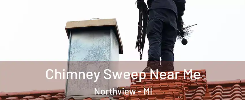  Chimney Sweep Near Me Northview - MI