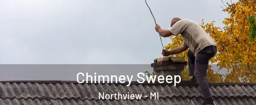  Chimney Sweep Northview - MI