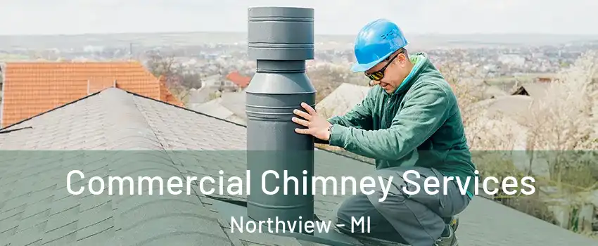  Commercial Chimney Services Northview - MI