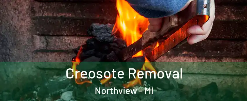  Creosote Removal Northview - MI