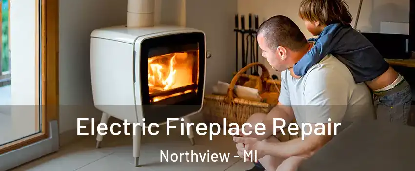  Electric Fireplace Repair Northview - MI