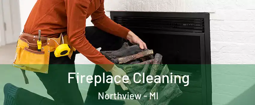  Fireplace Cleaning Northview - MI