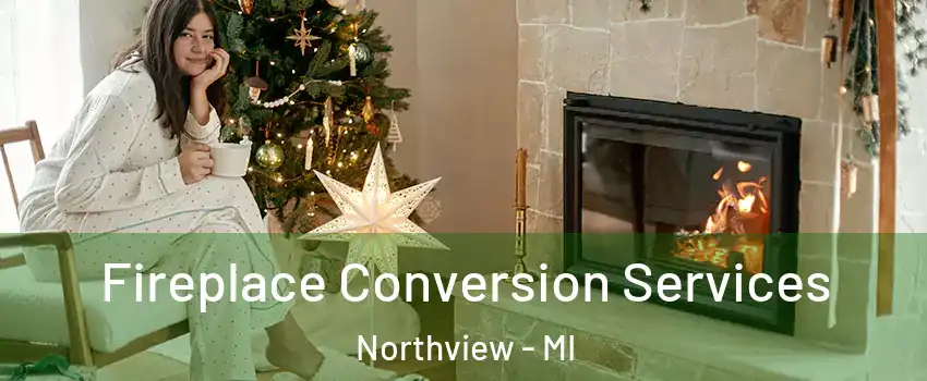  Fireplace Conversion Services Northview - MI