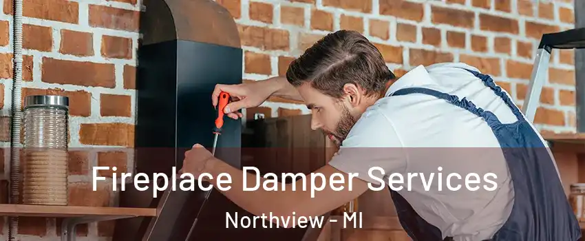  Fireplace Damper Services Northview - MI