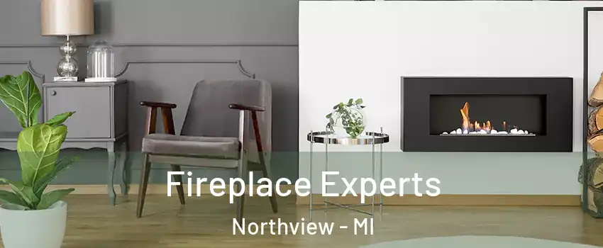  Fireplace Experts Northview - MI