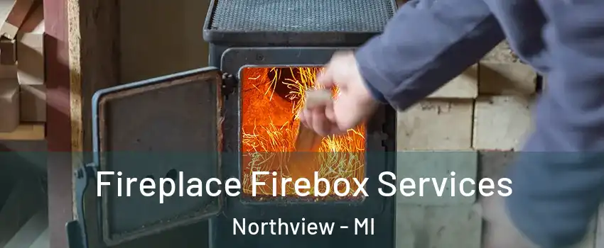  Fireplace Firebox Services Northview - MI