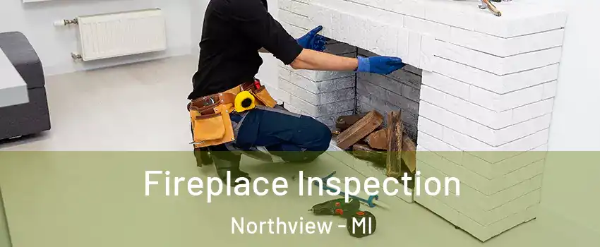  Fireplace Inspection Northview - MI