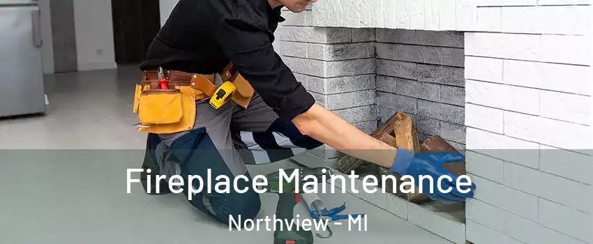  Fireplace Maintenance Northview - MI