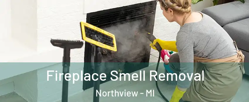  Fireplace Smell Removal Northview - MI