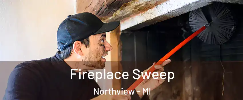  Fireplace Sweep Northview - MI