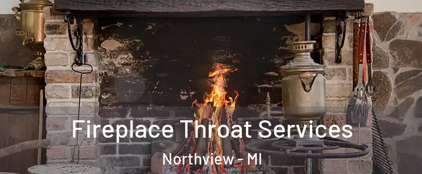 Fireplace Throat Services Northview - MI