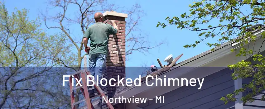  Fix Blocked Chimney Northview - MI