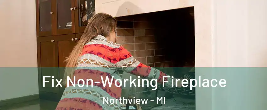  Fix Non-Working Fireplace Northview - MI