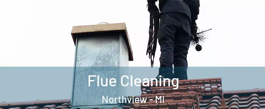  Flue Cleaning Northview - MI