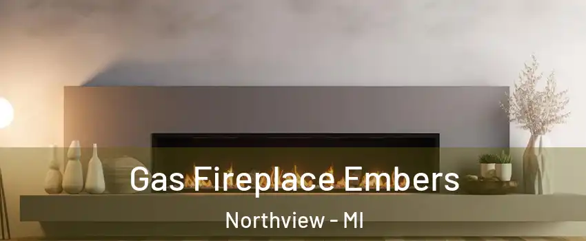  Gas Fireplace Embers Northview - MI