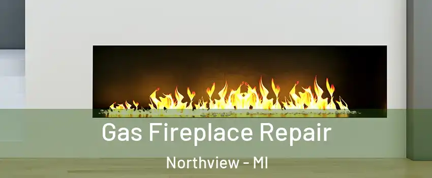  Gas Fireplace Repair Northview - MI