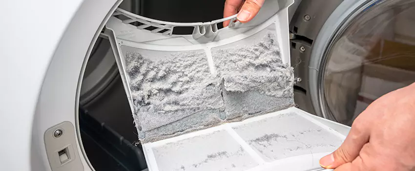 Best Dryer Lint Removal Company in Northview, Michigan
