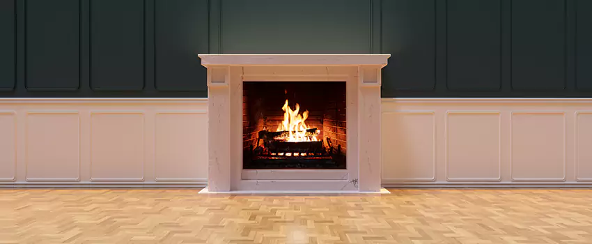 Napoleon Electric Fireplaces Inspection Service in Northview, Michigan