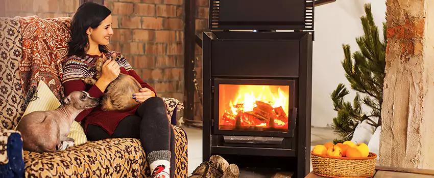 Wood Stove Chimney Cleaning Services in Northview, MI