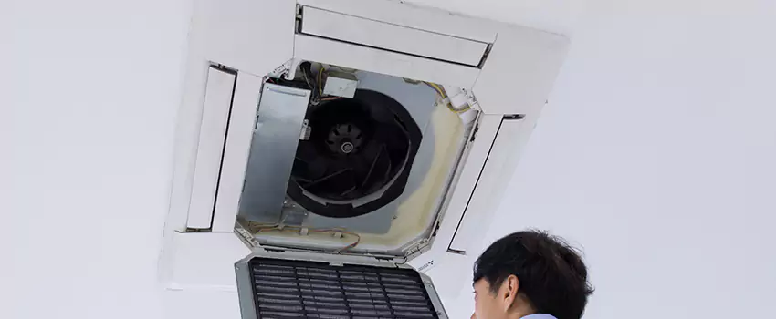Benefits of Professional Air Duct Cleaning in Northview, Michigan