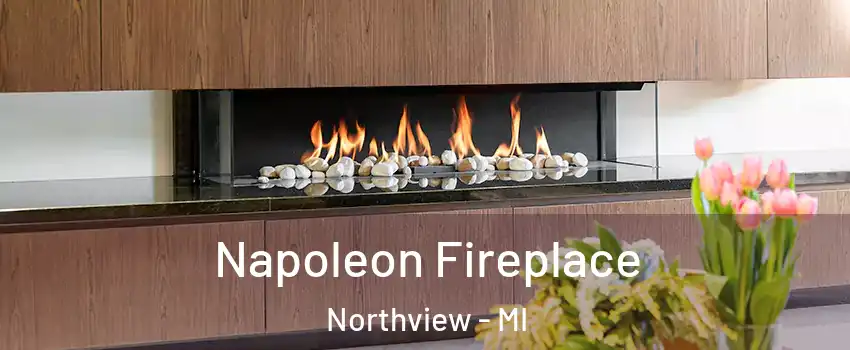  Napoleon Fireplace Northview - MI