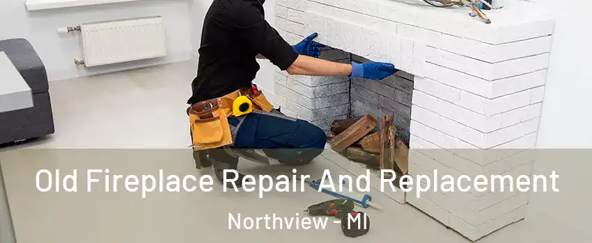  Old Fireplace Repair And Replacement Northview - MI
