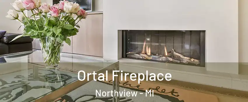  Ortal Fireplace Northview - MI
