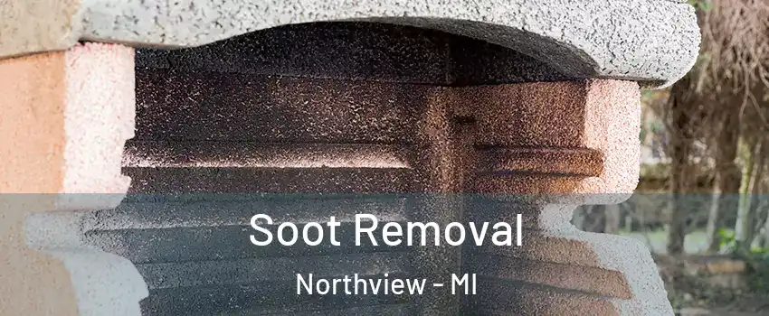  Soot Removal Northview - MI